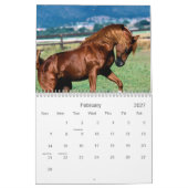 Horse agenda kalender (Feb 2027)