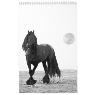 Horse agenda kalender