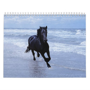 Horse agenda kalender