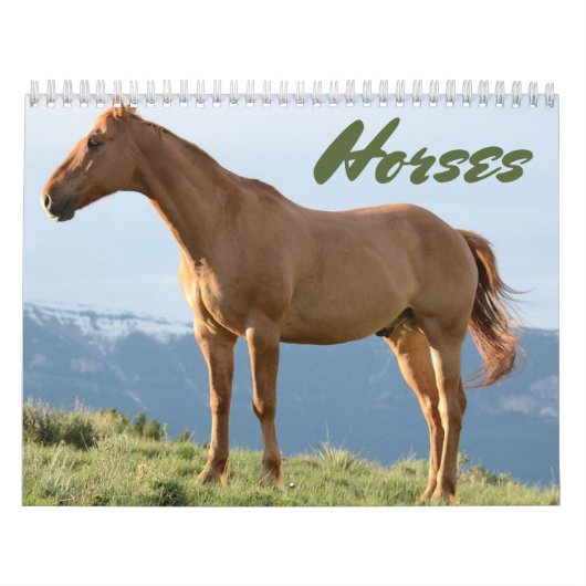 Horse agenda kalender (Hoes)