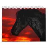 Horse agenda kalender (Hoes)