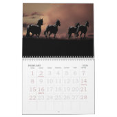 Horse agenda kalender (Feb 2026)