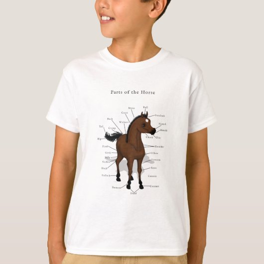 Horse anatomigram op Bay Foal met Star T-shirt (Voorkant)