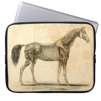 Horse anatomische laptophoes laptop sleeve