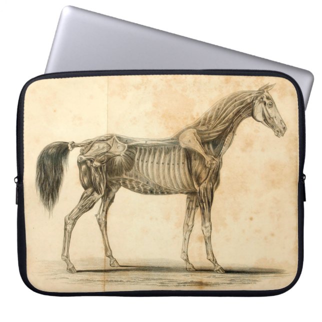 Horse anatomische laptophoes laptop sleeve (Voorkant)