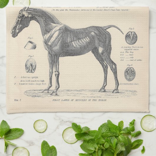 Horse Anatomy Tea Towel Theedoek (Gevouwen)