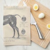 Horse Anatomy Tea Towel Theedoek (Quarter Fold)