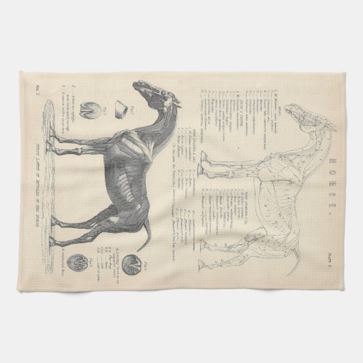 Horse Anatomy Tea Towel Theedoek (Horizontaal)