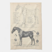 Horse Anatomy Tea Towel Theedoek (Verticaal)