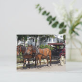 Horse and Carriage on Mackinac Island MI Briefkaart (Staand voorkant)