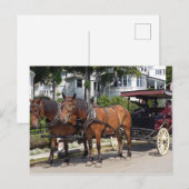 Horse and Carriage on Mackinac Island MI Briefkaart (Voorkant / Achterkant)