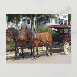 Horse and Carriage on Mackinac Island MI Briefkaart