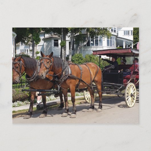 Horse and Carriage on Mackinac Island MI Briefkaart (Voorkant)