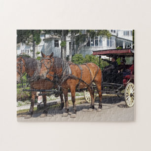 Horse and Carriage on Mackinac Island MI Legpuzzel