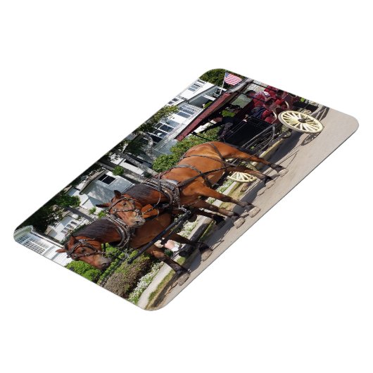 Horse and Carriage on Mackinac Island MI Magneet (Linkerzijde)