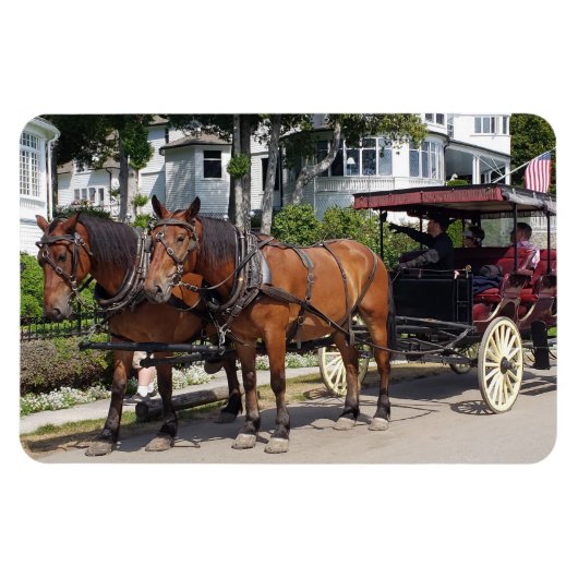 Horse and Carriage on Mackinac Island MI Magneet (Horizontaal)