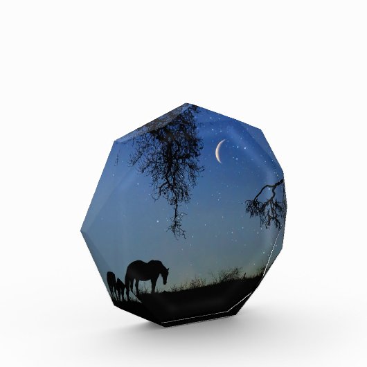 Horse and Moon Fine Art Fotoblokken (Links)