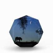 Horse and Moon Fine Art Fotoblokken (Voorkant)