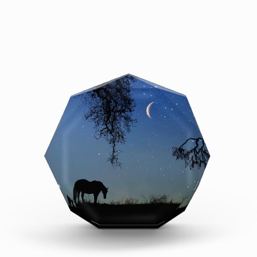 Horse and Moon Fine Art Fotoblokken (Voorkant)