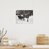 Horse and Sleigh, 1935.  foto Poster (Keuken)