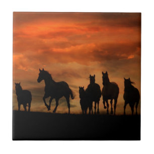 Horse Art Tegel Tegeltje