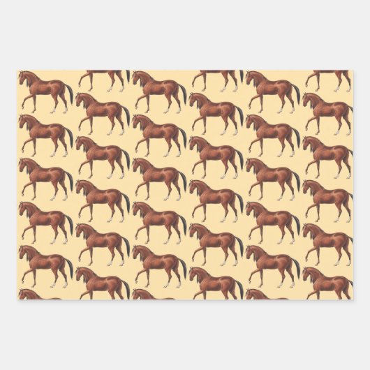 Horse Art Wrapping Craft Paper (Voorkant 2)