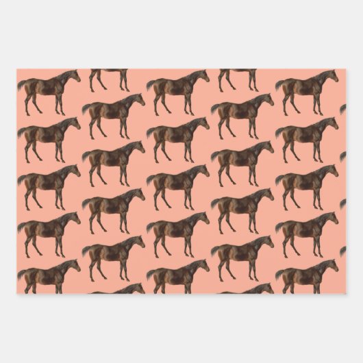  Horse Art Wrapping Craft Paper (Voorkant 3)