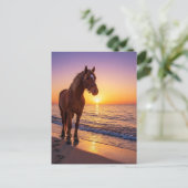 Horse at Sunset on the Beach Coastal Postcard Feestdagenkaart (Staand voorkant)
