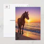 Horse at Sunset on the Beach Coastal Postcard Feestdagenkaart (Voorkant / Achterkant)