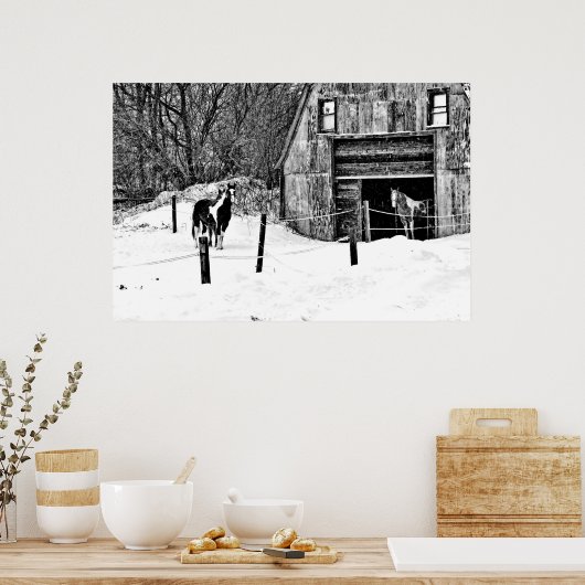 Horse-Barn-BW Poster (Keuken)