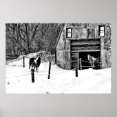 Horse-Barn-BW Poster (Voorkant)