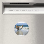 Horse Beach Magnet (Insitu (Vaatwasser))