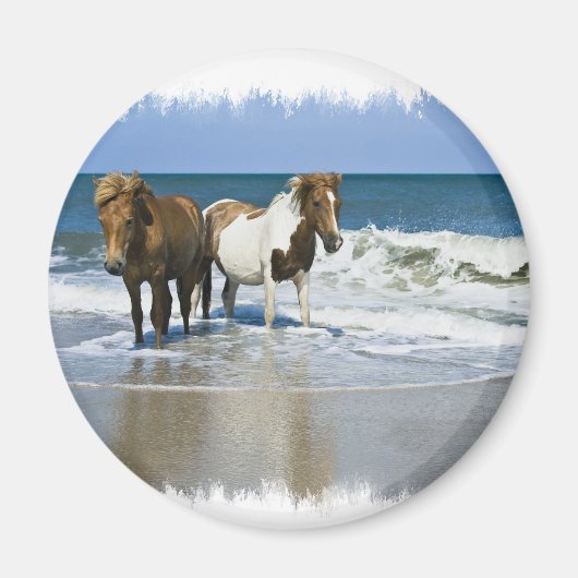 Horse Beach Magnet (Voorkant)