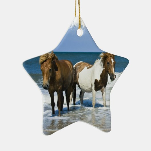 Horse Beach Ornament (Rechts)