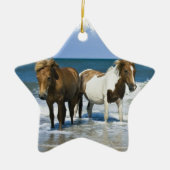 Horse Beach Ornament (Voorkant)