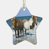 Horse Beach Ornament (Links)