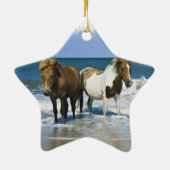 Horse Beach Ornament (Achterkant)