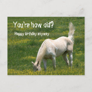 Horse Birthday Briefkaart