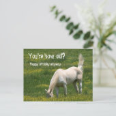 Horse Birthday Briefkaart (Staand voorkant)