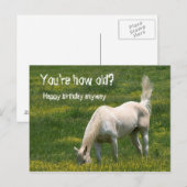 Horse Birthday Briefkaart (Voorkant / Achterkant)