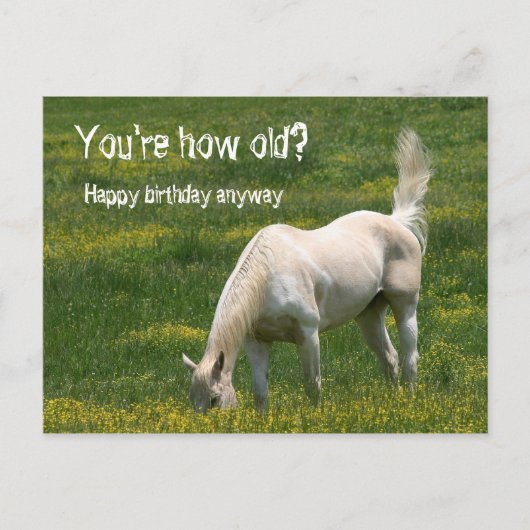 Horse Birthday Briefkaart (Voorkant)