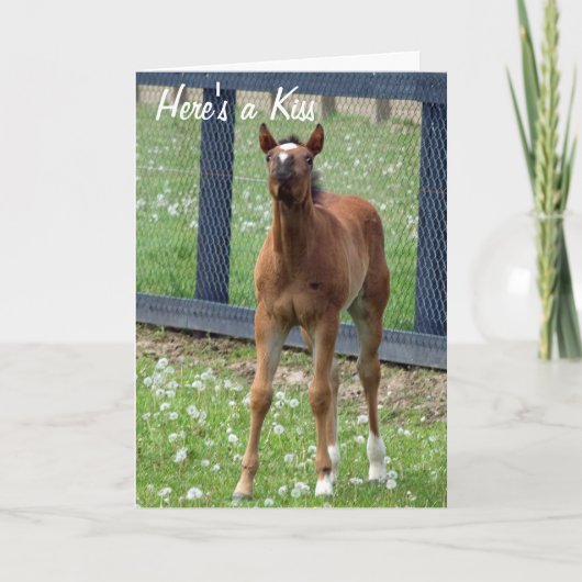 Horse Birthday Kisses Card Kaart (Voorkant)