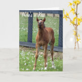 Horse Birthday Kisses Card Kaart (Gele Bloem)