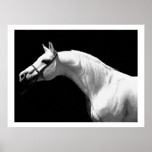 Horse Black en White Poster (Voorkant)
