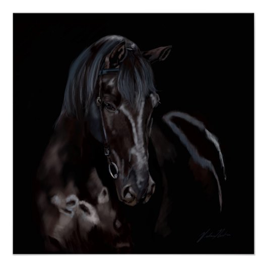 Horse Blackas Midnight Perfect Poster (Voorkant)
