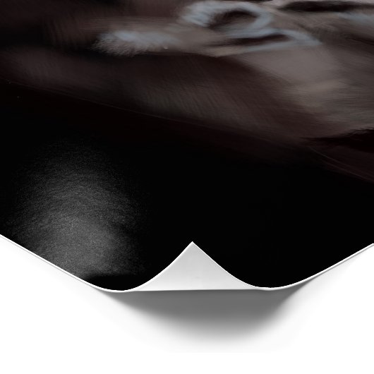 Horse Blackas Midnight Perfect Poster (Hoek)