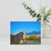 Horse Blue Sky en Montana Mountains Briefkaart (Staand voorkant)
