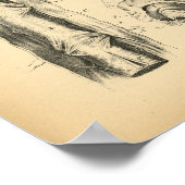 Horse Brain Nerve Anatomy 1908 Print (Hoek)