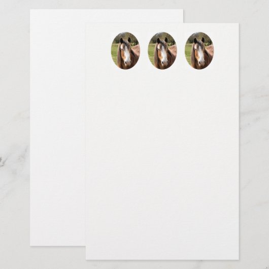 HORSE BRIEFPAPIER (Voorkant / Achterkant)
