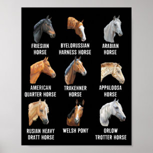 Horse Bries Equestrian Horseback Riding Poster